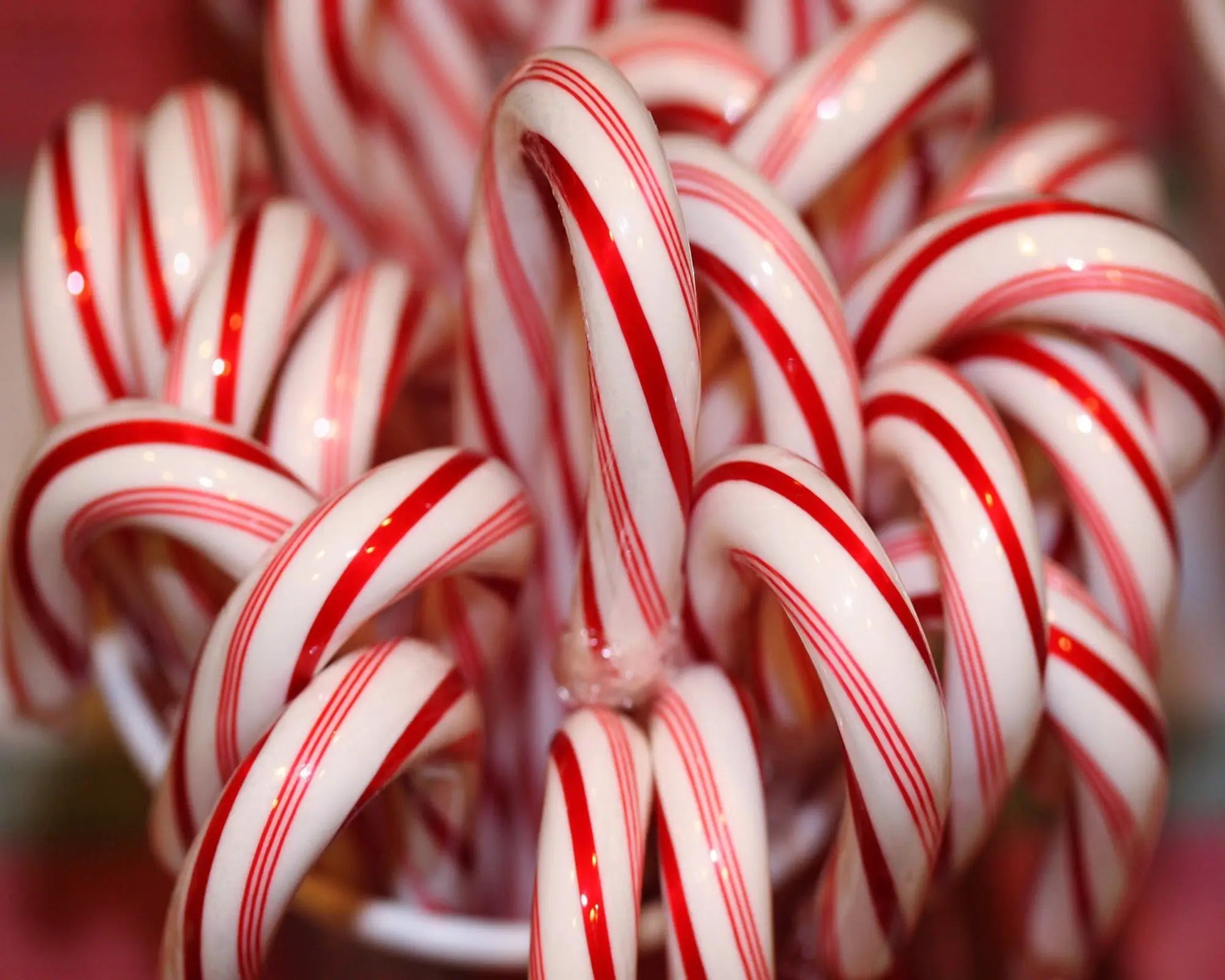 Candy Cane Fragrance Oil