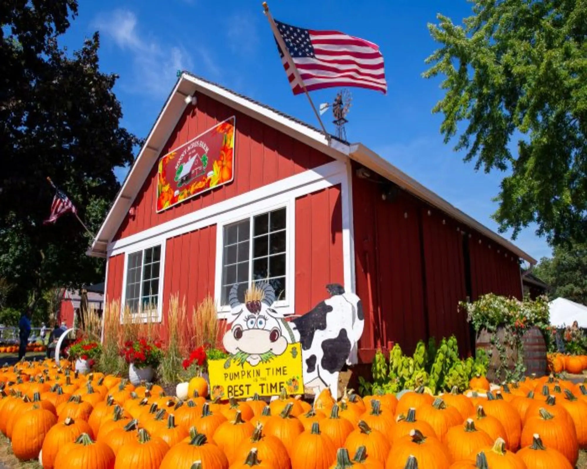Fall Festival Fragrance Oil