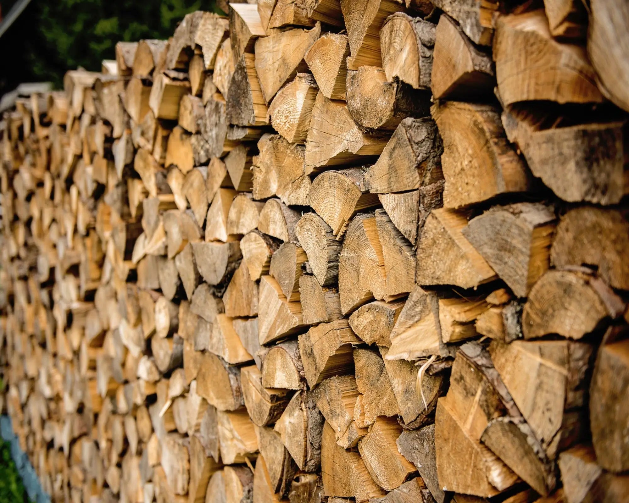 Firewood Fragrance Oil