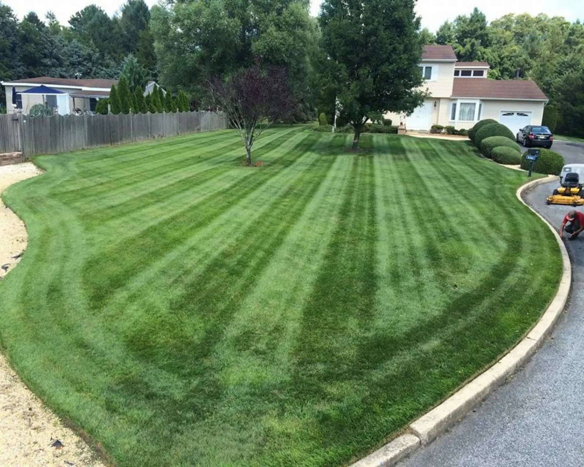 Fresh Cut Grass Fragrance Oil