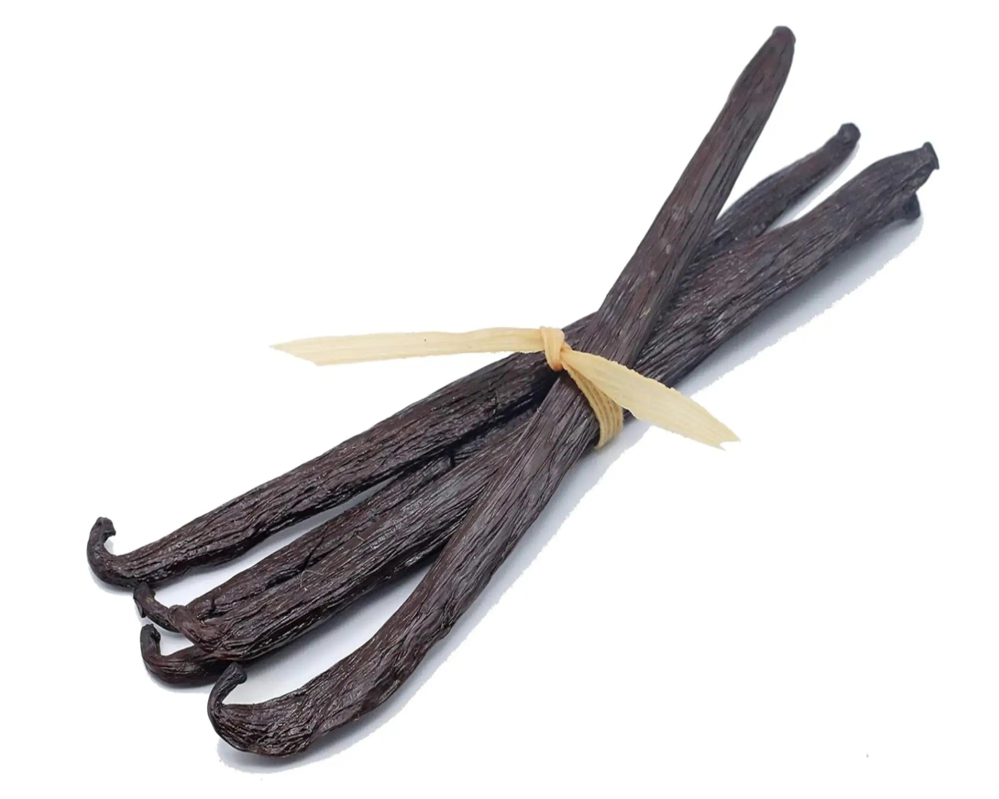 Mexican Vanilla Fragrance Oil