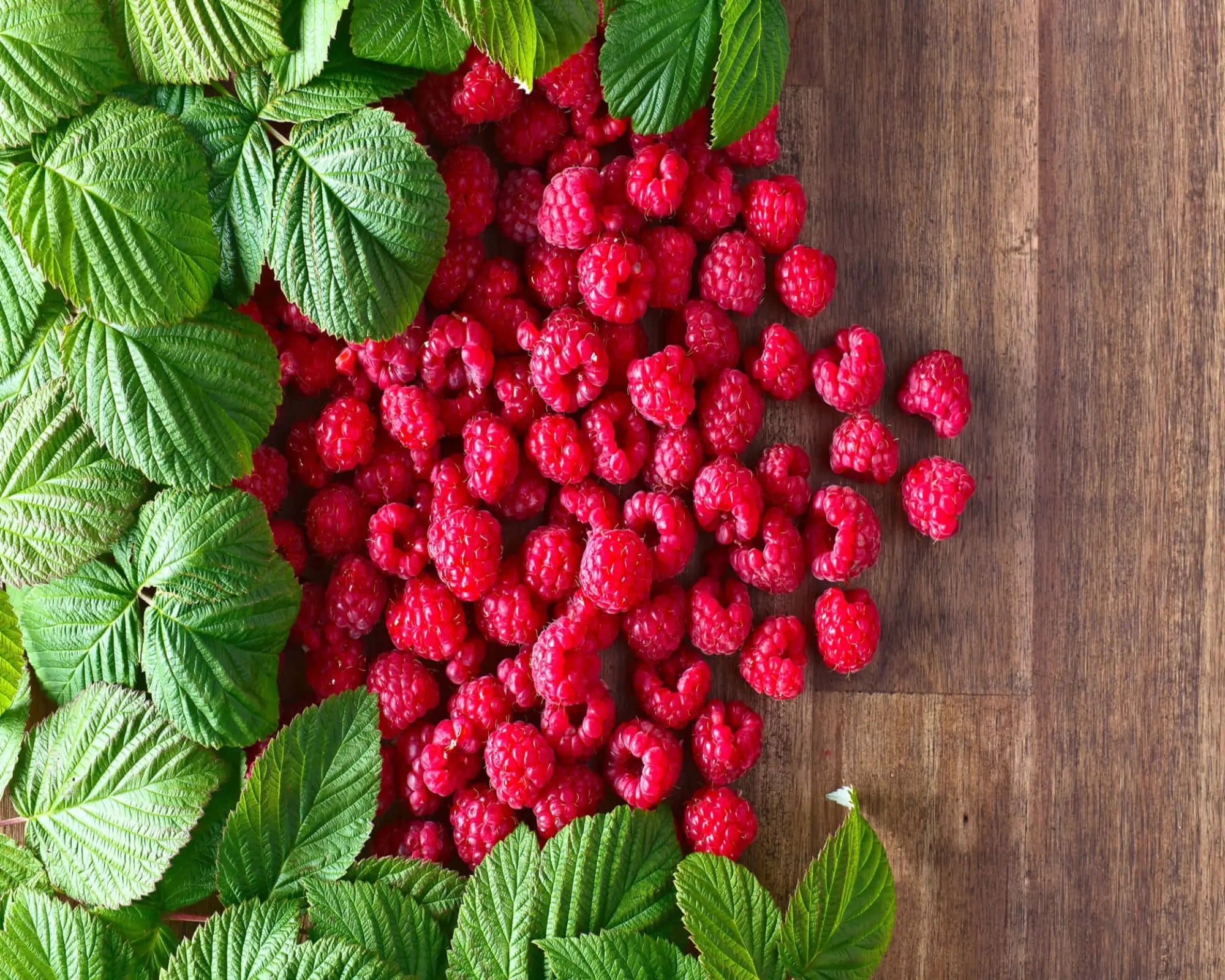 Raspberry Fragrance Oil